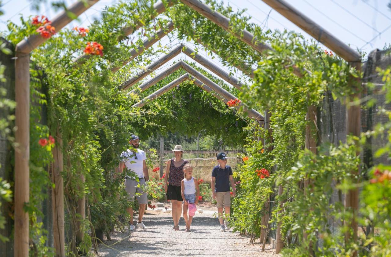 Village Vacances - Defiplanet' Dienné Eksteriør billede